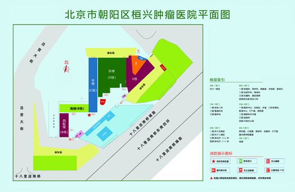 日笔视频免费看北京市朝阳区桓兴肿瘤医院平面图